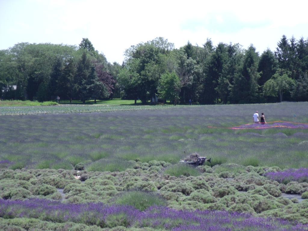 The Blue Inn At North Fork East Marion Εξωτερικό φωτογραφία